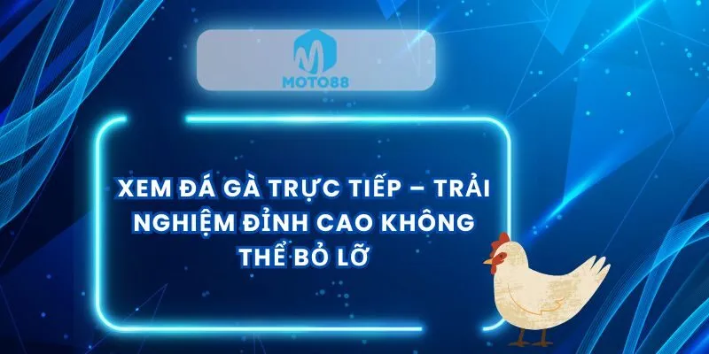 xem-da-ga-truc-tiep